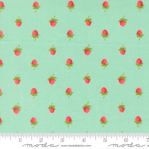Bloomsberry Berry Aqua - Quilt Fabric