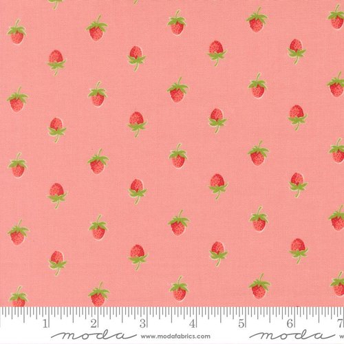 Bloomsberry Berry Blush - Quilt Fabric