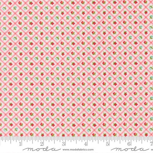 Bloomsberry Gingham Blush - Quilt Fabric