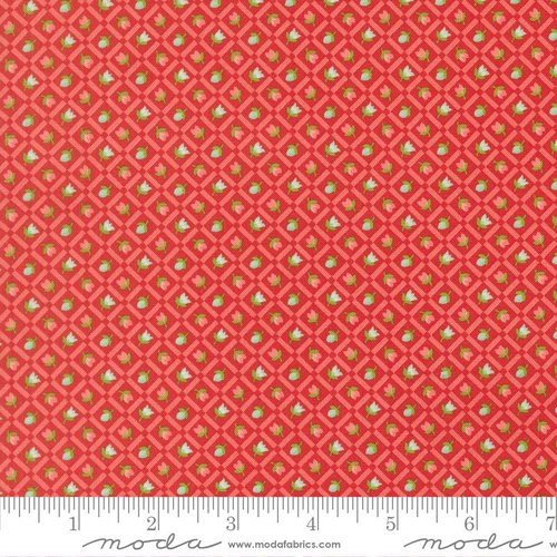 Bloomsberry Gingham Red - Quilt Fabric