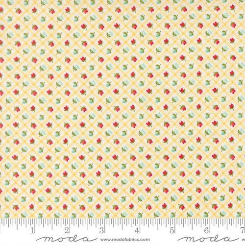 Bloomsberry Gingham Buttermilk - Quilt Fabric