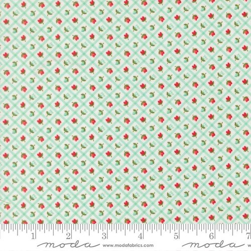 Bloomsberry Gingham Aqua - Quilt Fabric