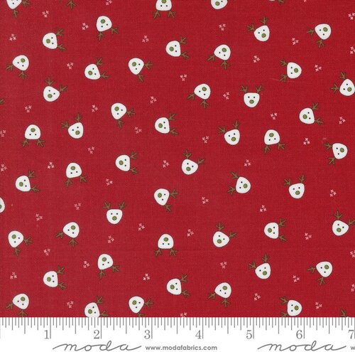 On Dasher Dasher Red - Quilt Fabric