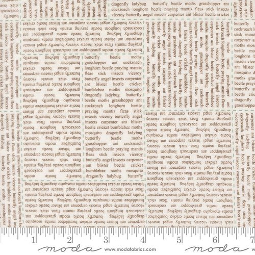 Bug Collector Text Cloud Dirt - Quilt Fabric