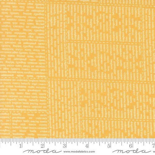 Bug Collector Text Sunshine - Quilt Fabric