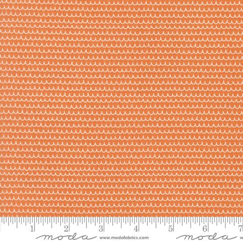 Bug Collector Squiggles Orange - Quilt Fabric