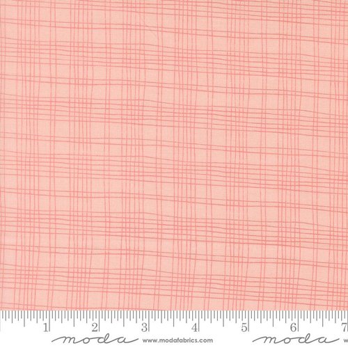 Bug Collector Plaid Blush - Quilt Fabric
