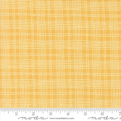 Bug Collector Plaid Sunshine - Quilt Fabric