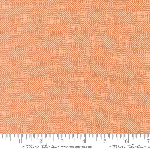 Bug Collector Circles Orange - Quilt Fabric
