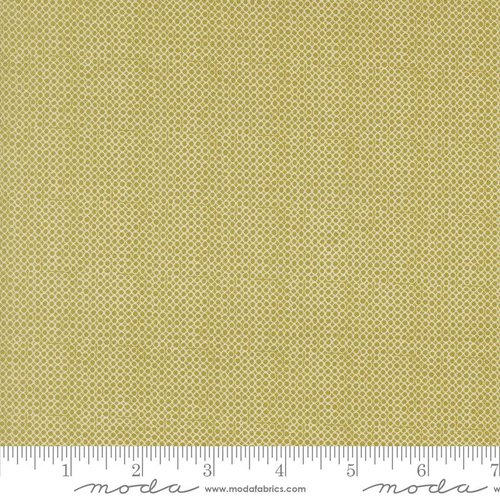 Bug Collector Circles Leaf - Quilt Fabric