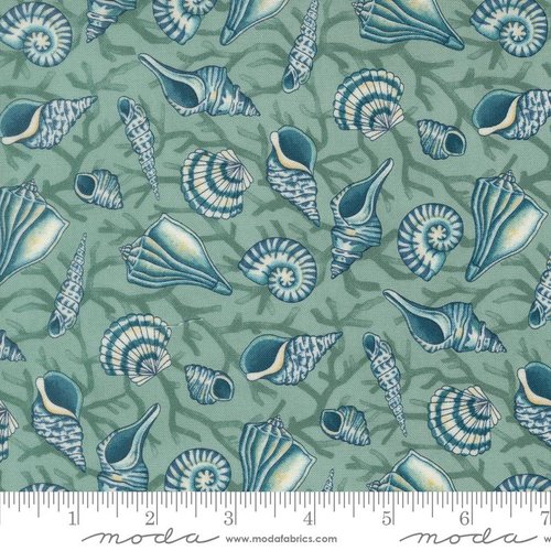 Seaside Shells Aqua - Quilt Fabric