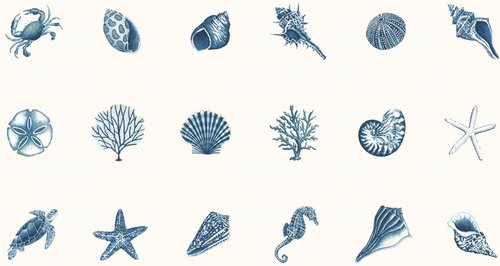 Seaside Panel Shells Seafoam White - Quilt Fabric