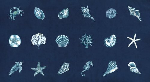 Seaside Panel Shells Deep Sea - Quilt Fabric