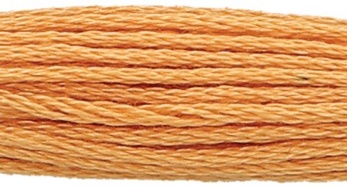 Anchor Six Strand Floss #363