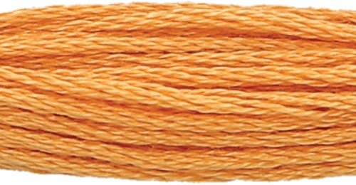 Anchor Six Strand Floss #1002