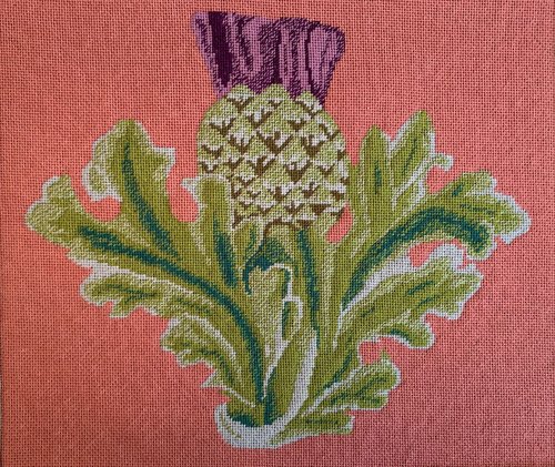 The Scottish Thistle On Pink  - Needlepoint / Tapestry Kits