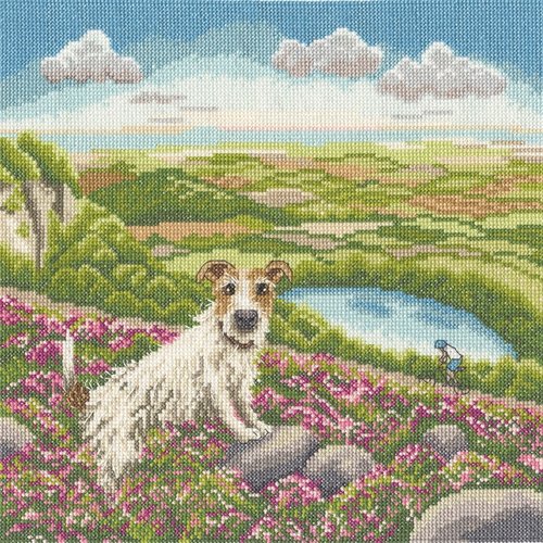 One Vet & His Dog - Cross Stitch Kit