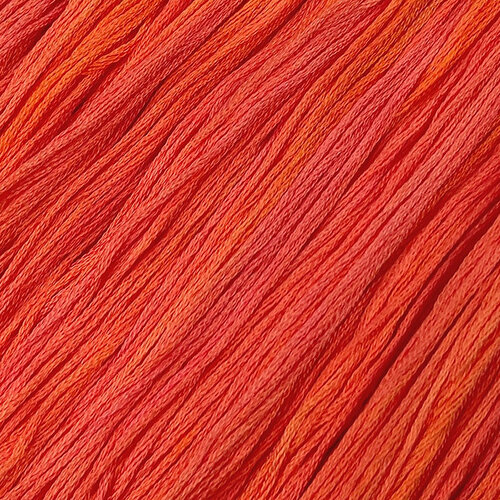 Carrot #059 - Colour and Cotton Thread