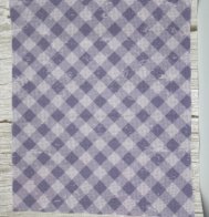 14 Count Picnic Grape Aida 16"x20"