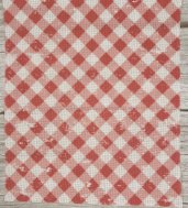 16 Count Picnic Red Aida 16"x20"