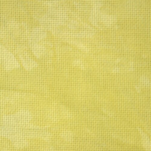 20 Count Kiwi Aida 20x36