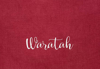 46 Ct. Waratah Linen 26x35