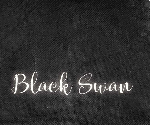 36 Ct. Black Swan Linen 26x35