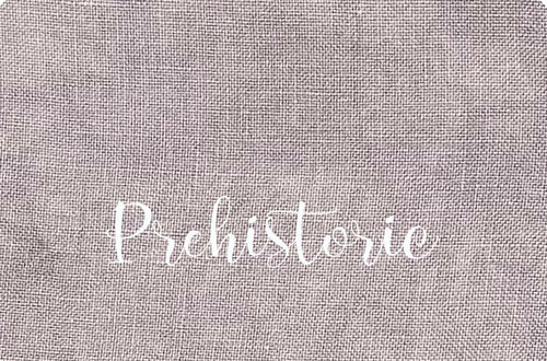 36 Ct. Prehistoric Linen 17x25