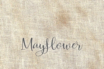 40 Ct. Mayflower Stained Linen 17x25