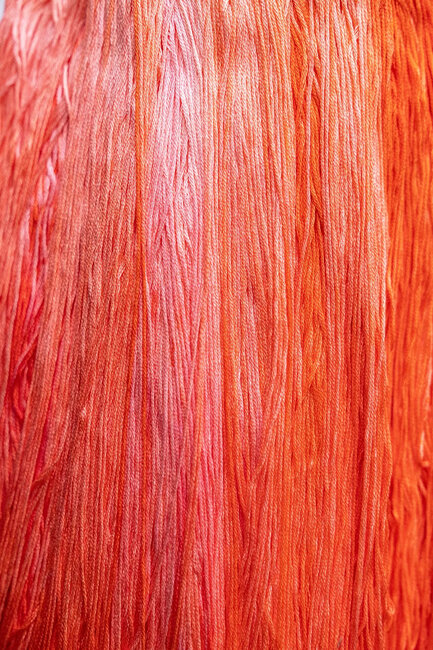 G0592