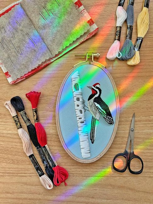 Busy Woodpecker - 3D Embroidery Kit