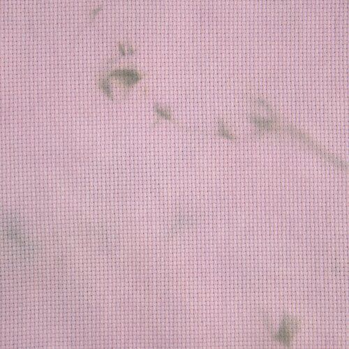 PTP16-556Y
