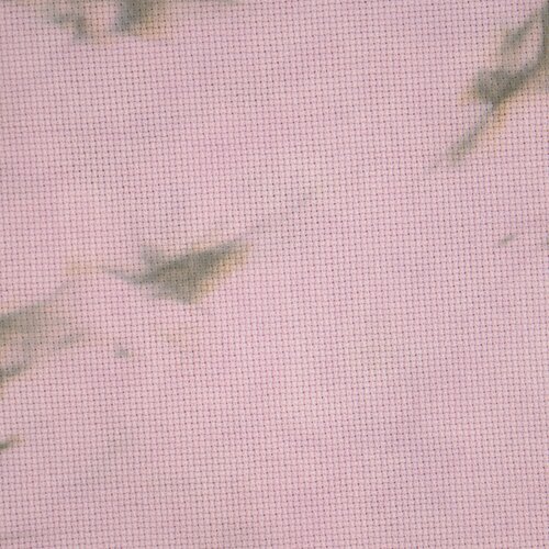 PTP18-556Y