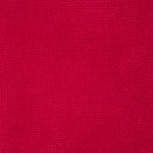 20 Count Phoenix Aida Fabric 12x17