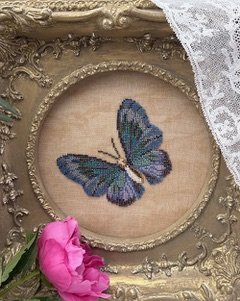 Papillon d