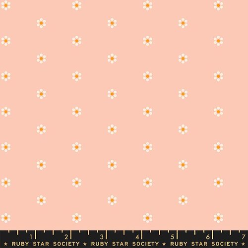 RS0083-13