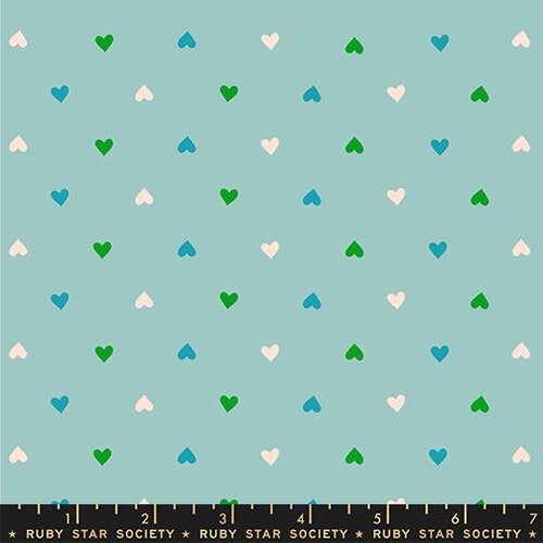 RS0091-20