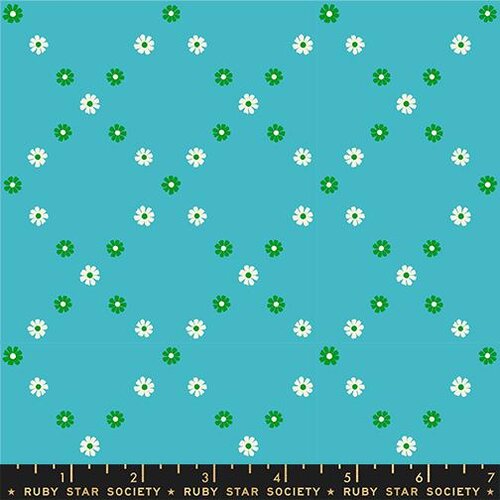 RS0107-16