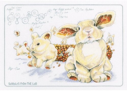 Hop-Corn - Cross Stitch Kit