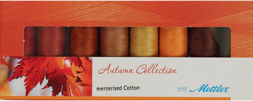 SFC8-AUTUMN
