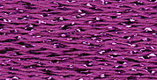 SL234