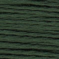 Rainbow Gallery Splendor - Dark Fern Green - S1064