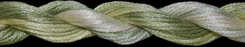 T01082