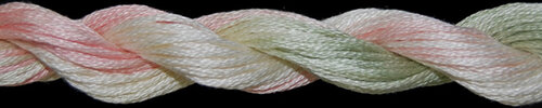 T01095