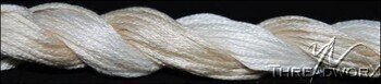 T20-10301