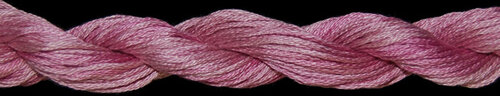 T20-10810