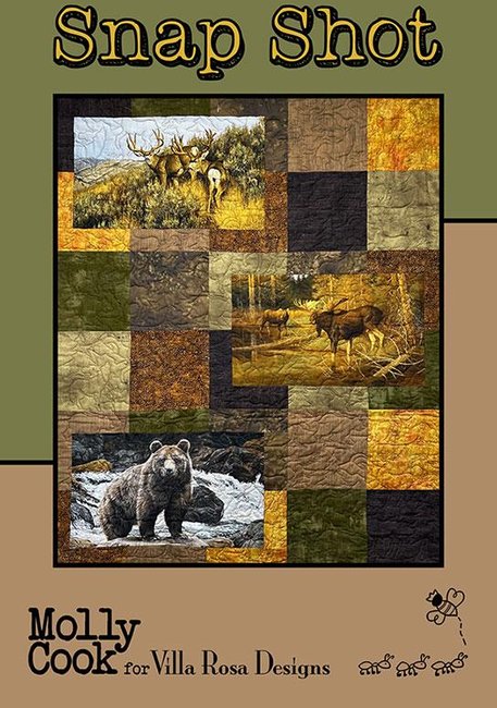 Snap Shot - Quilt Pattern