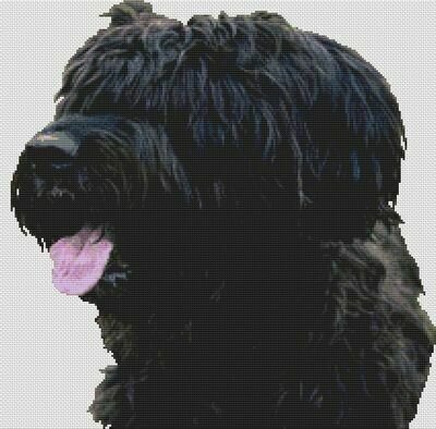 Black Briard - Cross Stitch Pattern