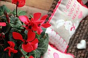 Be My Valentine - Cross Stitch Pattern