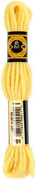 DMC Tapestry Wool Yarn #701